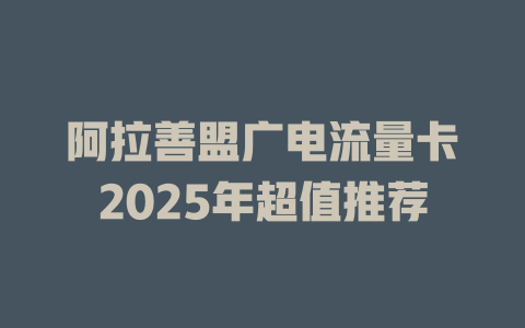 阿拉善盟广电流量卡2025年超值推荐