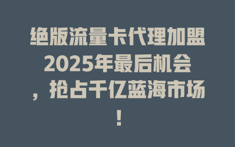 绝版流量卡代理加盟2025年最后机会，抢占千亿蓝海市场！