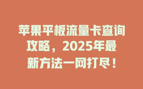 苹果平板流量卡查询攻略，2025年最新方法一网打尽！