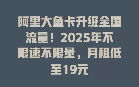 阿里大鱼卡升级全国流量！2025年不限速不限量，月租低至19元