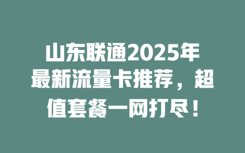 山东联通2025年最新流量卡推荐，超值套餐一网打尽！