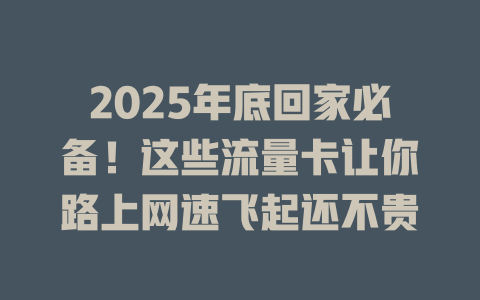 2025年底回家必备！这些流量卡让你路上网速飞起还不贵