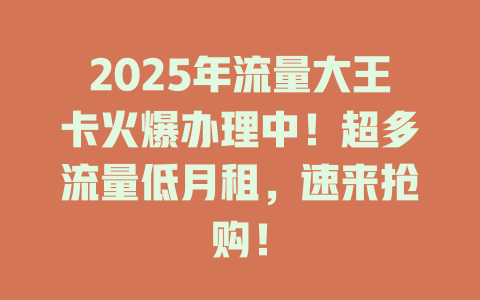 2025年流量大王卡火爆办理中！超多流量低月租，速来抢购！