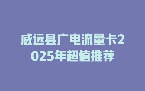 威远县广电流量卡2025年超值推荐