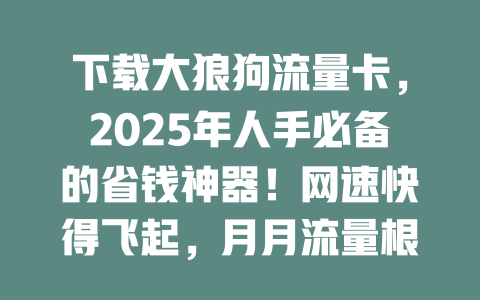 下载大狼狗流量卡，2025年人手必备的省钱神器！网速快得飞起，月月流量根本用不完！