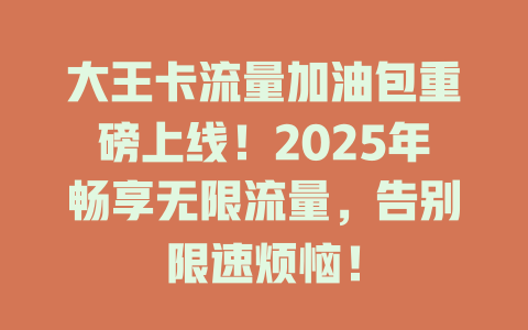 大王卡流量加油包重磅上线！2025年畅享无限流量，告别限速烦恼！