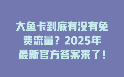 大鱼卡到底有没有免费流量？2025年最新官方答案来了！
