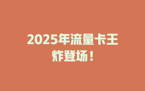 2025年流量卡王炸登场！