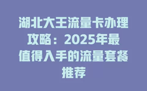 湖北大王流量卡办理攻略：2025年最值得入手的流量套餐推荐
