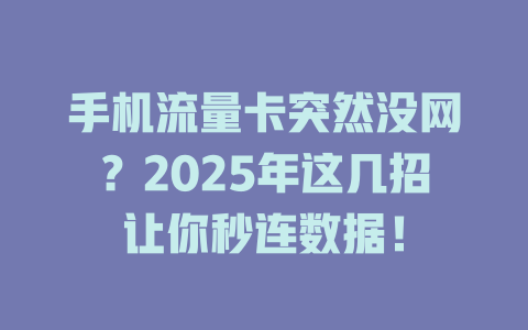 手机流量卡突然没网？2025年这几招让你秒连数据！
