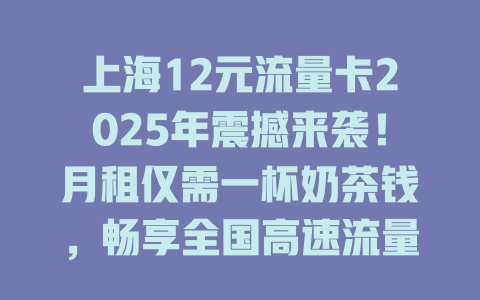 上海12元流量卡2025年震撼来袭！月租仅需一杯奶茶钱，畅享全国高速流量
