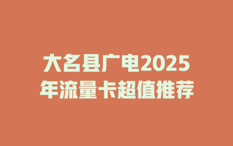 大名县广电2025年流量卡超值推荐
