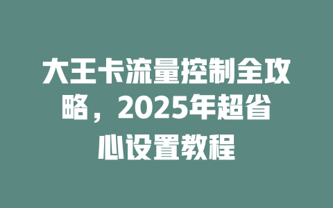 大王卡流量控制全攻略，2025年超省心设置教程