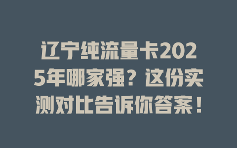 辽宁纯流量卡2025年哪家强？这份实测对比告诉你答案！
