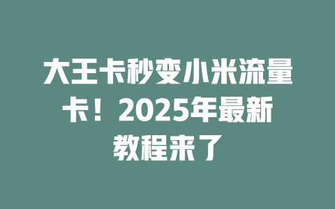 大王卡秒变小米流量卡！2025年最新教程来了