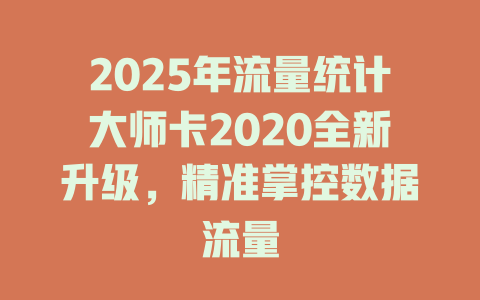 2025年流量统计大师卡2020全新升级，精准掌控数据流量