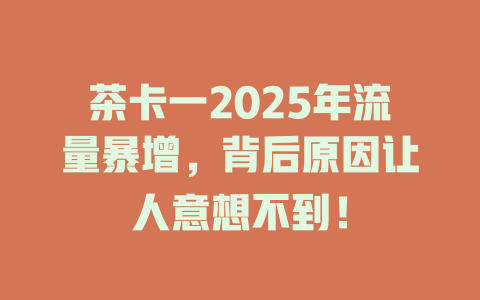 茶卡一2025年流量暴增，背后原因让人意想不到！