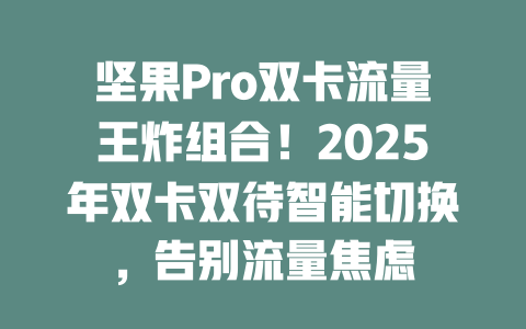 坚果Pro双卡流量王炸组合！2025年双卡双待智能切换，告别流量焦虑