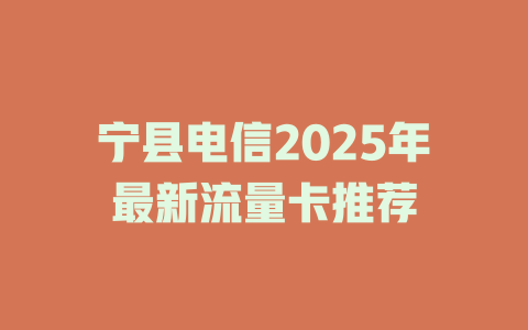 宁县电信2025年最新流量卡推荐