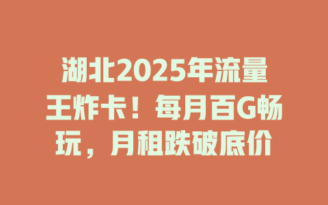 湖北2025年流量王炸卡！每月百G畅玩，月租跌破底价
