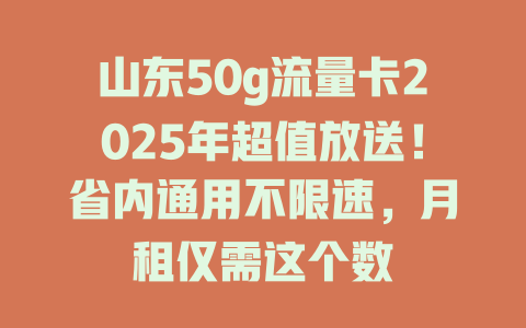 山东50g流量卡2025年超值放送！省内通用不限速，月租仅需这个数