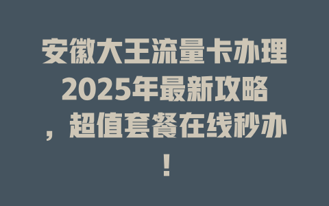 安徽大王流量卡办理2025年最新攻略，超值套餐在线秒办！