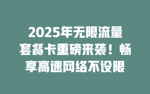2025年无限流量套餐卡重磅来袭！畅享高速网络不设限