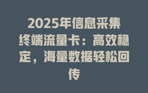2025年信息采集终端流量卡：高效稳定，海量数据轻松回传