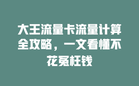 大王流量卡流量计算全攻略，一文看懂不花冤枉钱
