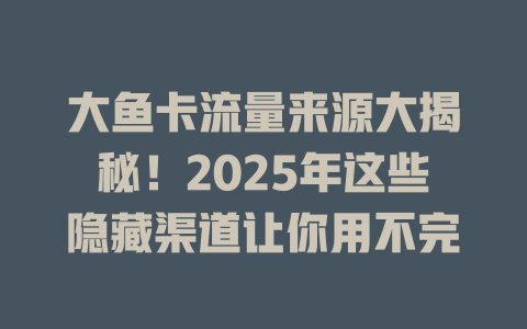 大鱼卡流量来源大揭秘！2025年这些隐藏渠道让你用不完