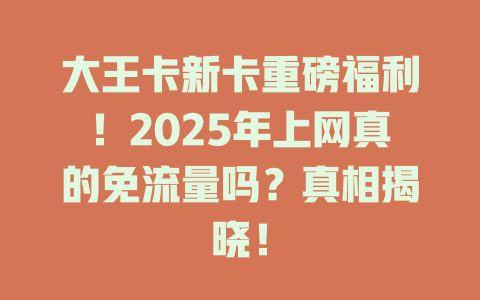 大王卡新卡重磅福利！2025年上网真的免流量吗？真相揭晓！