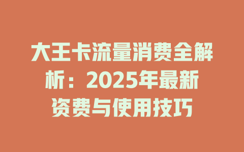 大王卡流量消费全解析：2025年最新资费与使用技巧