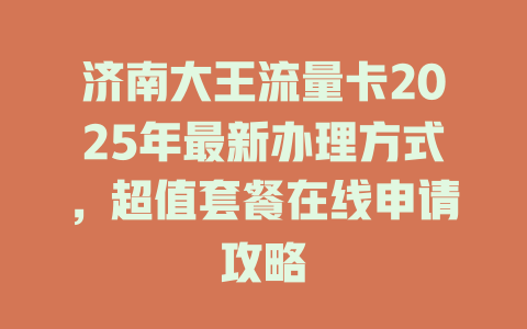 济南大王流量卡2025年最新办理方式，超值套餐在线申请攻略