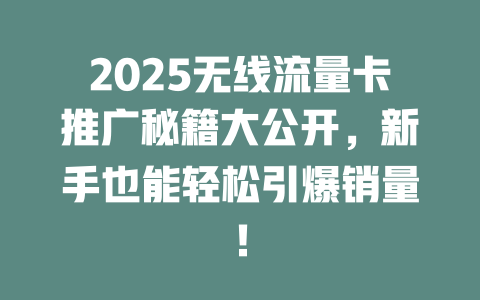 2025无线流量卡推广秘籍大公开，新手也能轻松引爆销量！