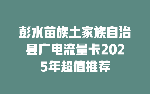 彭水苗族土家族自治县广电流量卡2025年超值推荐