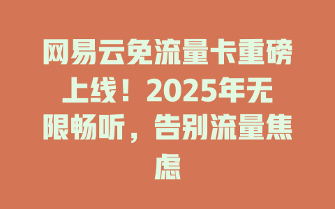 网易云免流量卡重磅上线！2025年无限畅听，告别流量焦虑
