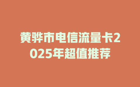 黄骅市电信流量卡2025年超值推荐