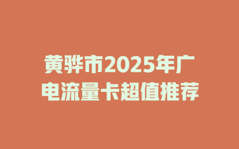 黄骅市2025年广电流量卡超值推荐
