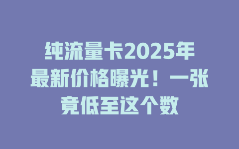 纯流量卡2025年最新价格曝光！一张竟低至这个数