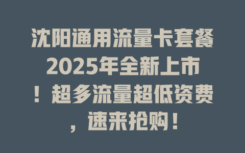 沈阳通用流量卡套餐2025年全新上市！超多流量超低资费，速来抢购！