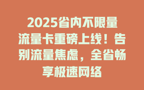 2025省内不限量流量卡重磅上线！告别流量焦虑，全省畅享极速网络