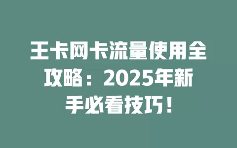 王卡网卡流量使用全攻略：2025年新手必看技巧！