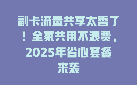 副卡流量共享太香了！全家共用不浪费，2025年省心套餐来袭