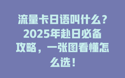 流量卡日语叫什么？2025年赴日必备攻略，一张图看懂怎么选！