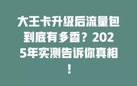 大王卡升级后流量包到底有多香？2025年实测告诉你真相！