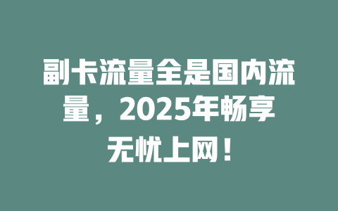 副卡流量全是国内流量，2025年畅享无忧上网！
