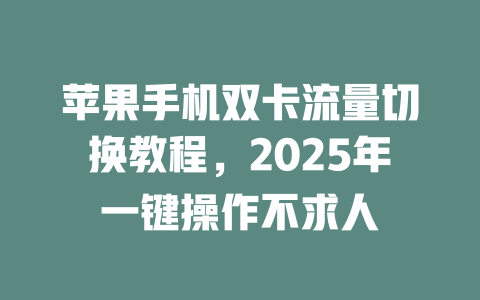 苹果手机双卡流量切换教程，2025年一键操作不求人