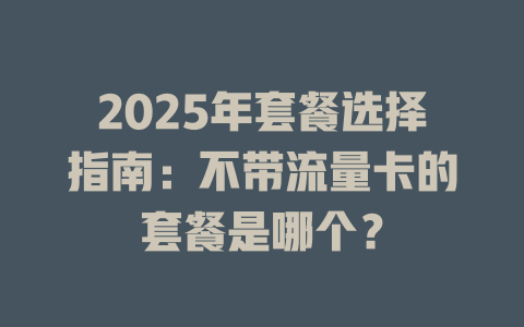 2025年套餐选择指南：不带流量卡的套餐是哪个？