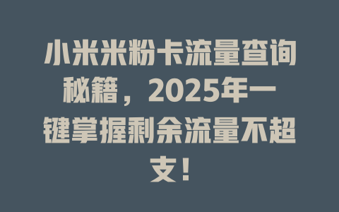 小米米粉卡流量查询秘籍，2025年一键掌握剩余流量不超支！