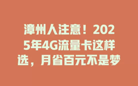 漳州人注意！2025年4G流量卡这样选，月省百元不是梦